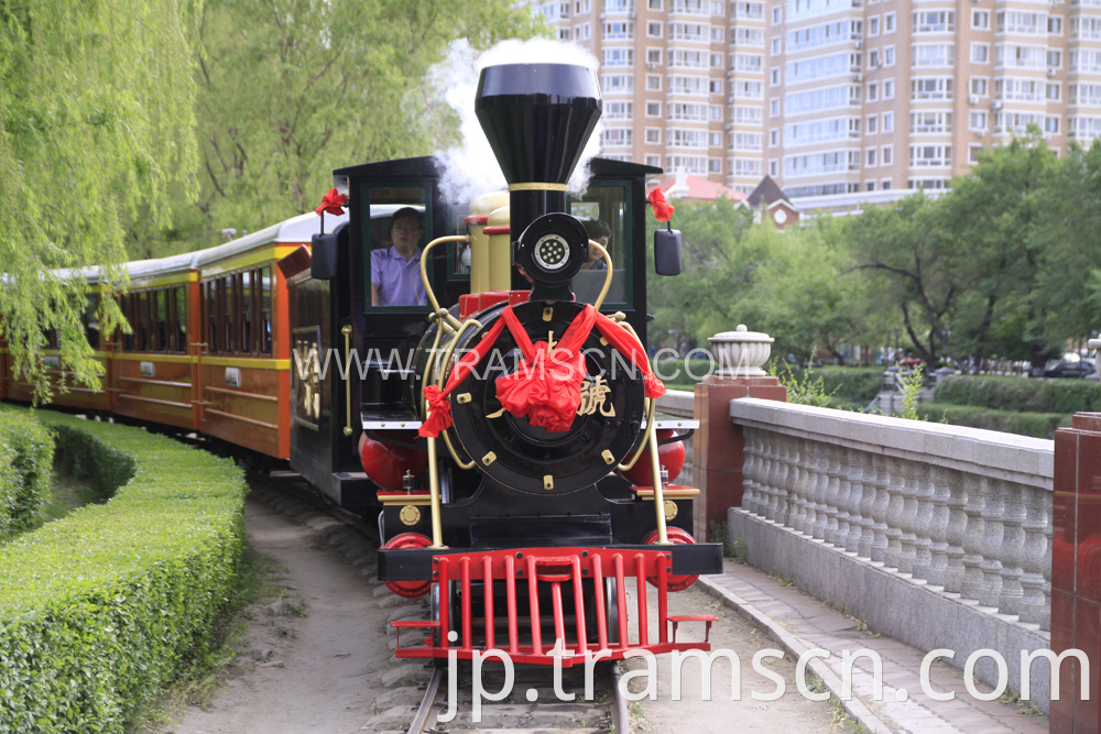 sightseeing train in park